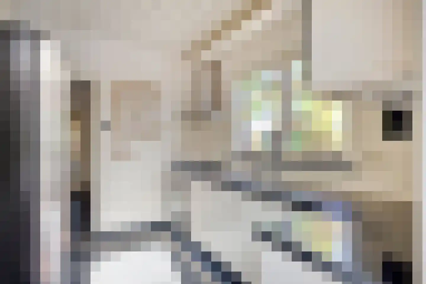G.W. Lovendaalsingel 24 Grave thumbnail 16