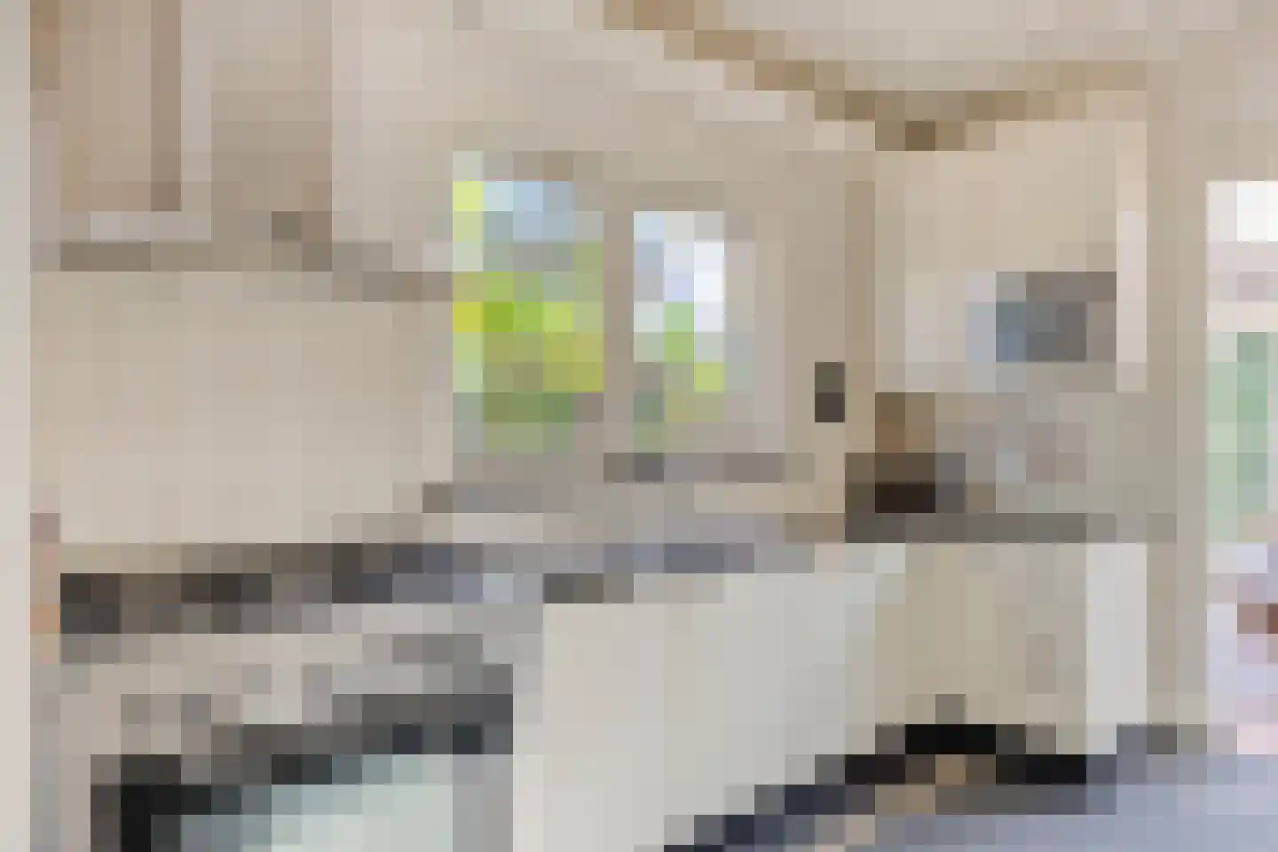 G.W. Lovendaalsingel 24 Grave thumbnail 17