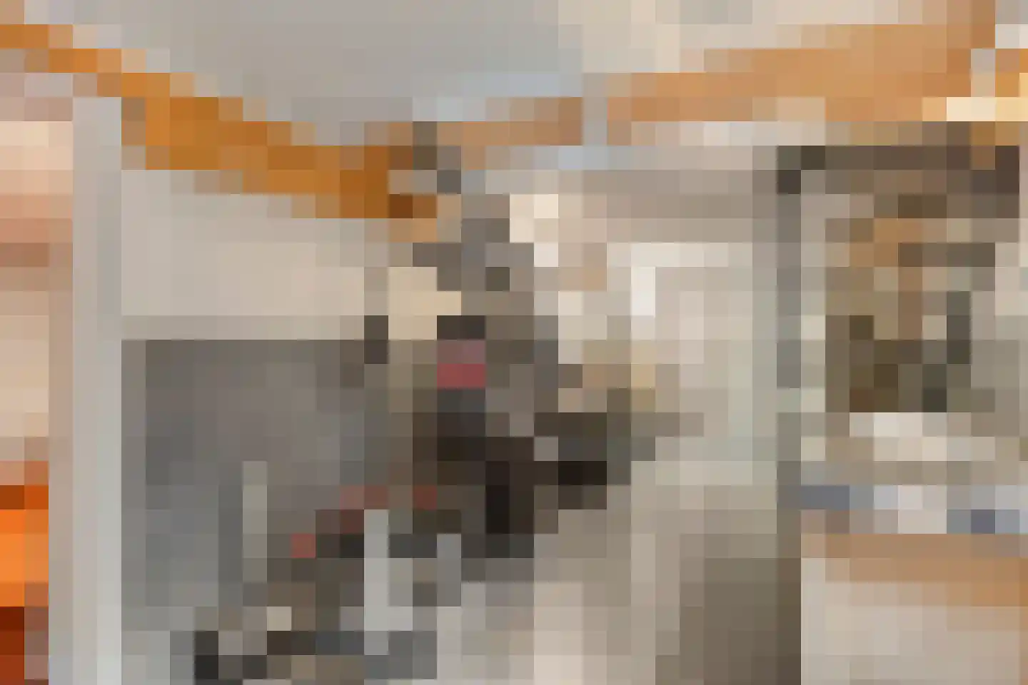 G.W. Lovendaalsingel 24 Grave thumbnail 32