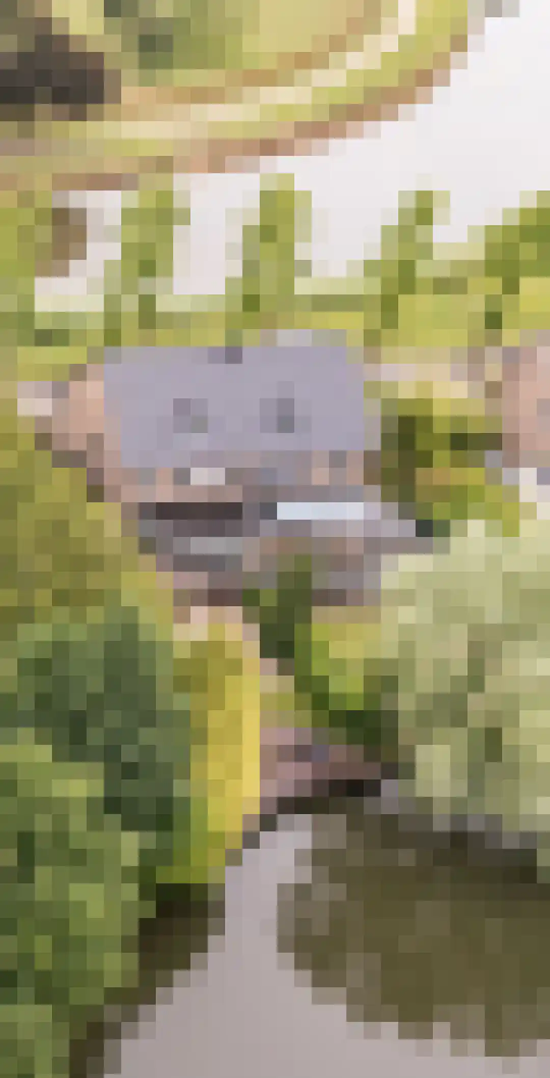 G.W. Lovendaalsingel 24 Grave thumbnail 4