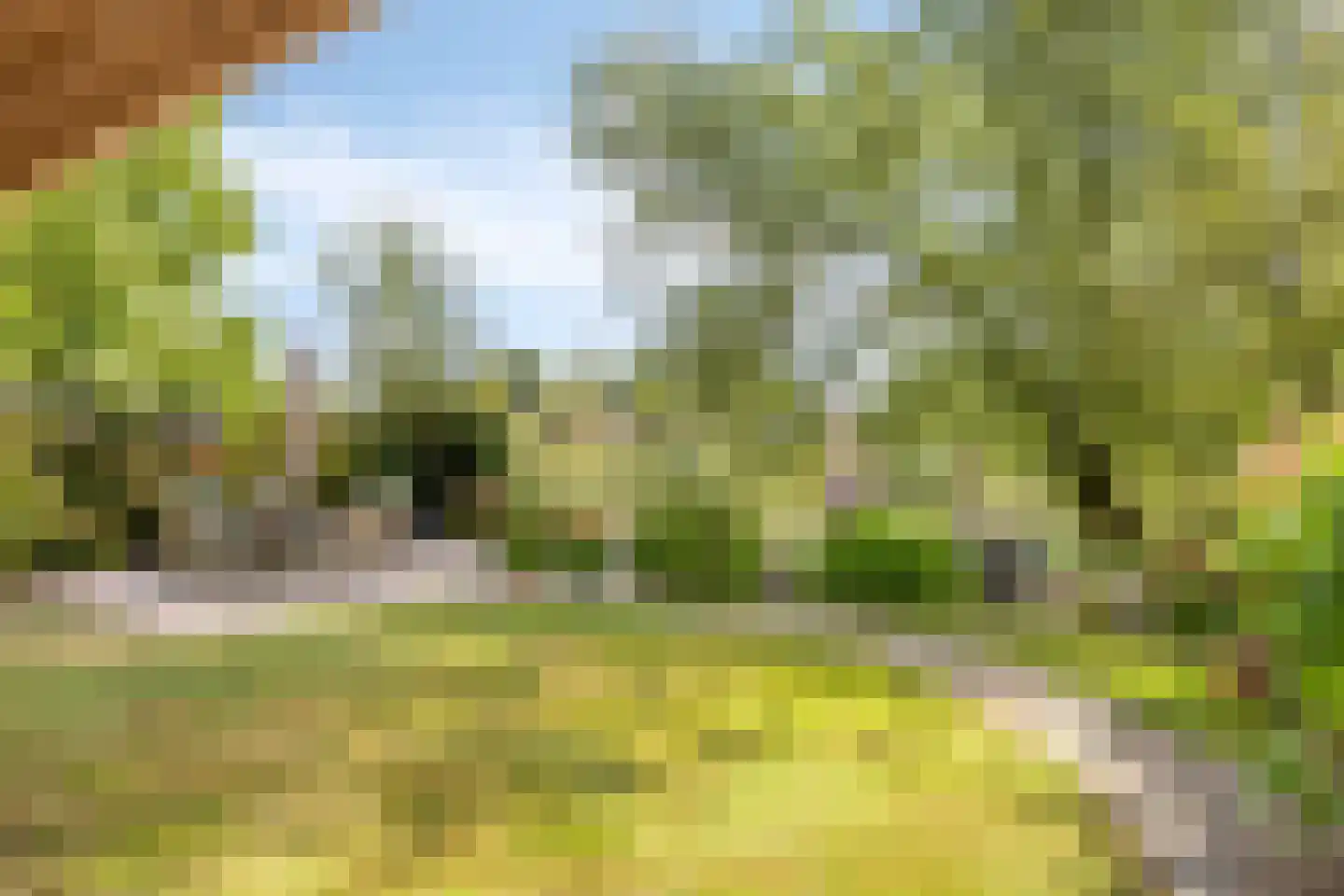 G.W. Lovendaalsingel 24 Grave thumbnail 50