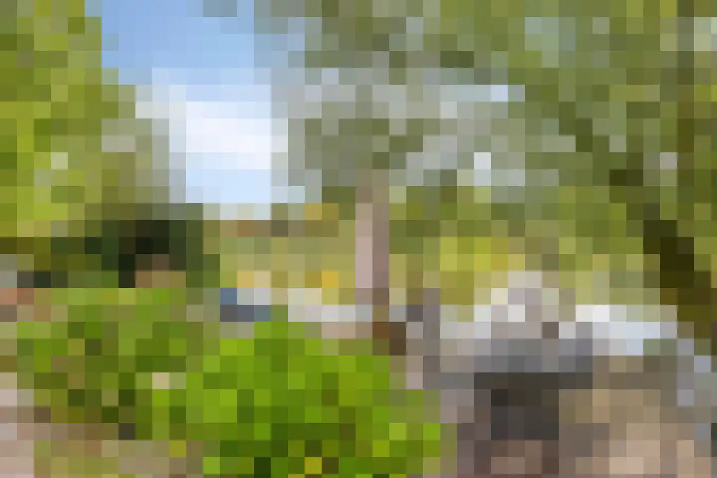 G.W. Lovendaalsingel 24 Grave thumbnail 51
