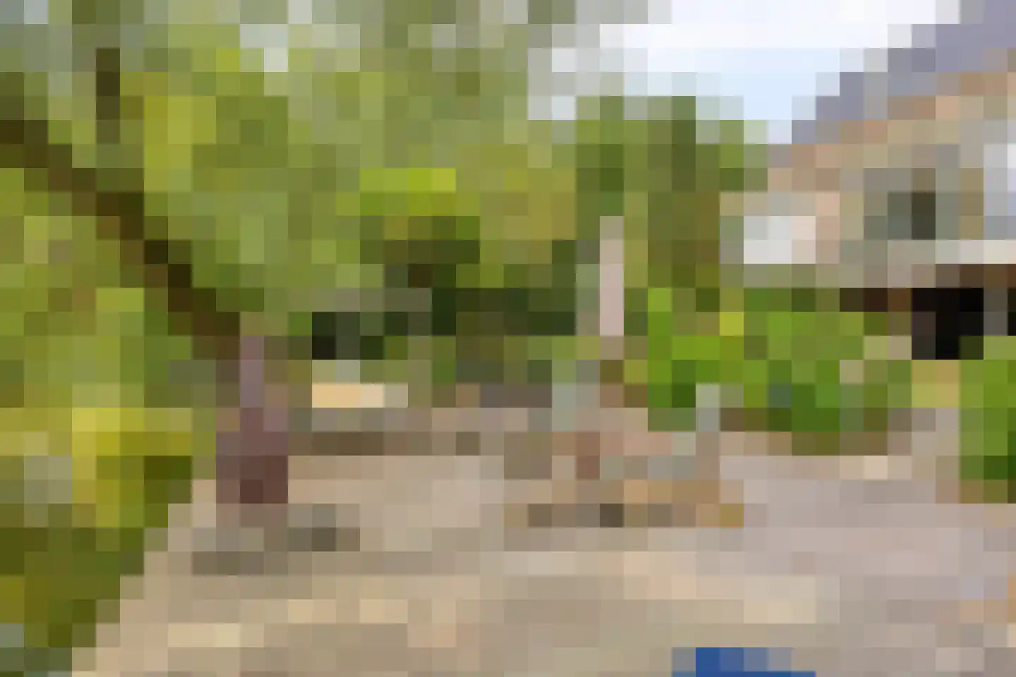 G.W. Lovendaalsingel 24 Grave thumbnail 53