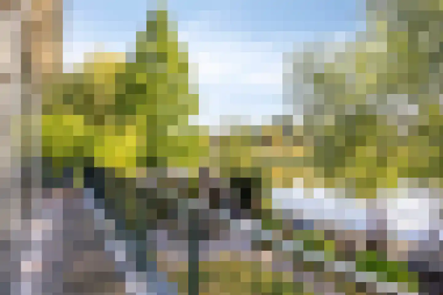 G.W. Lovendaalsingel 24 Grave thumbnail 57