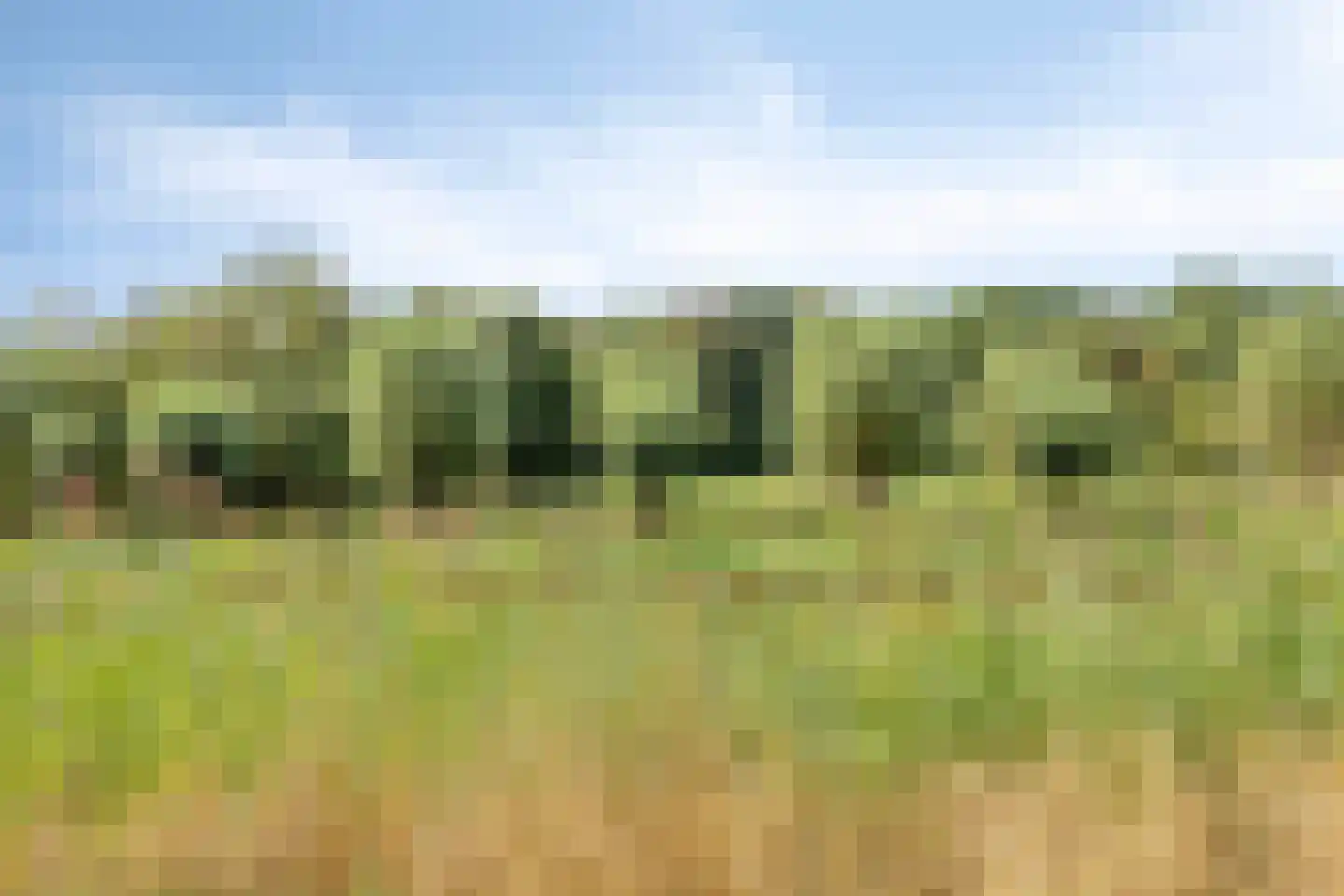 G.W. Lovendaalsingel 24 Grave thumbnail 59