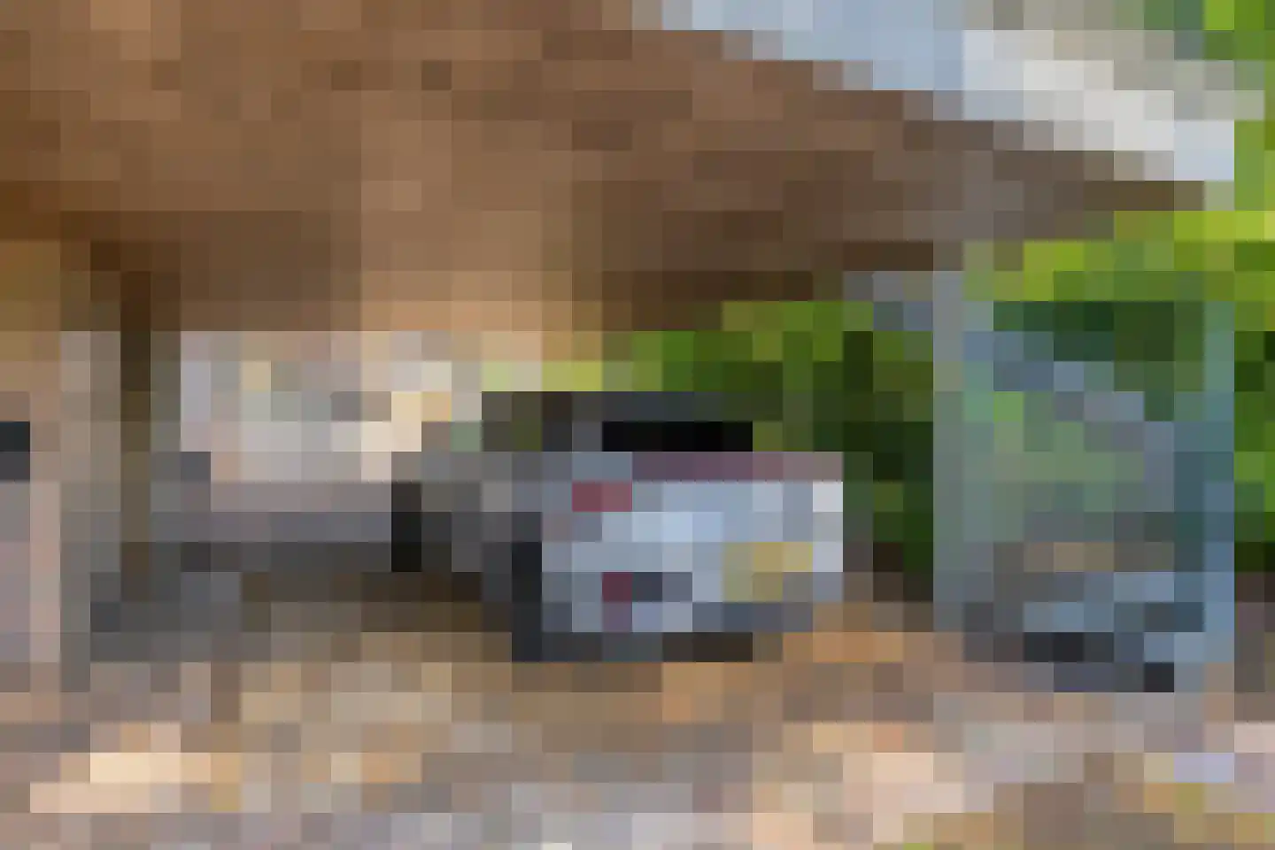 G.W. Lovendaalsingel 24 Grave thumbnail 65
