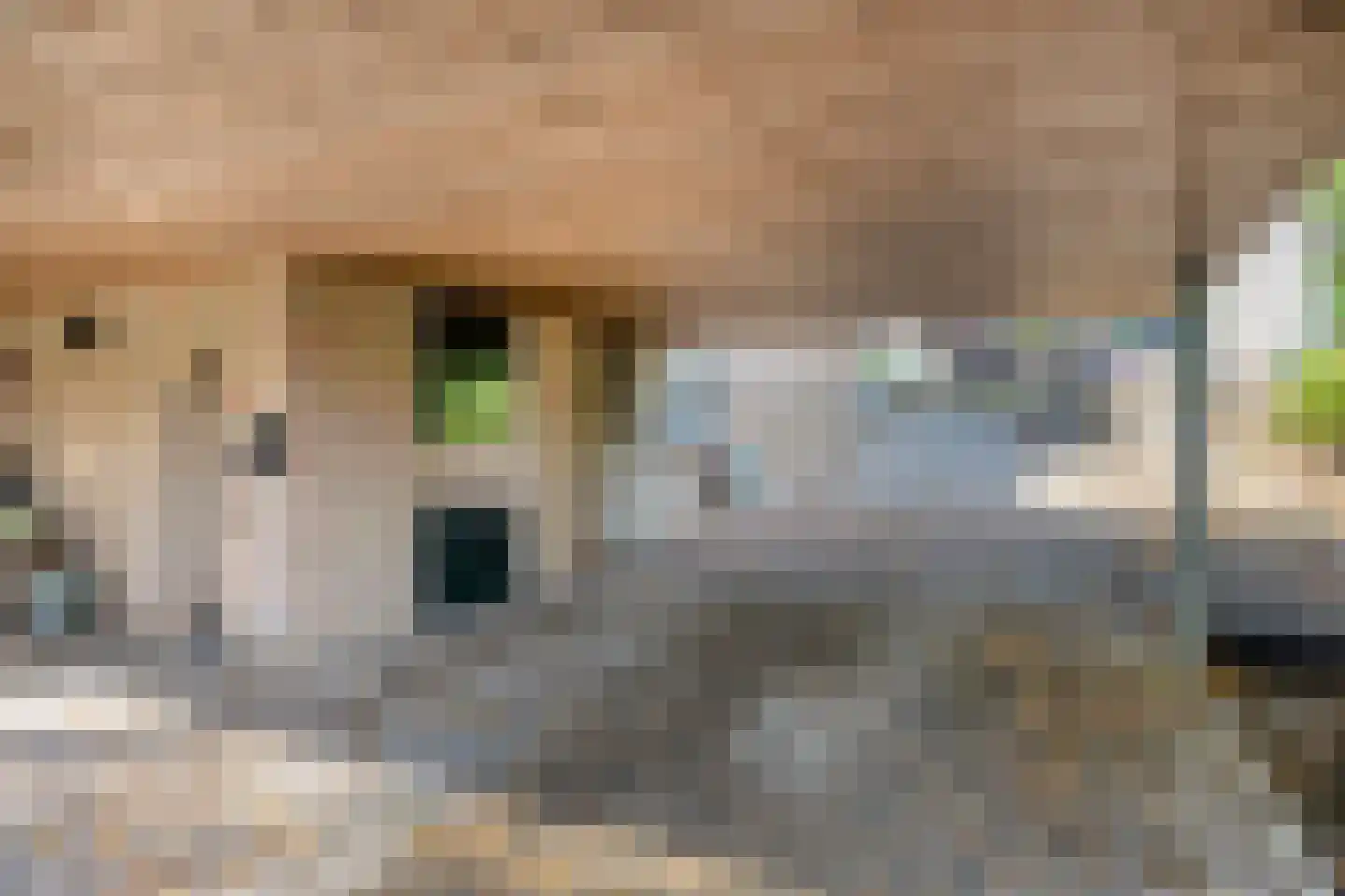 G.W. Lovendaalsingel 24 Grave thumbnail 66