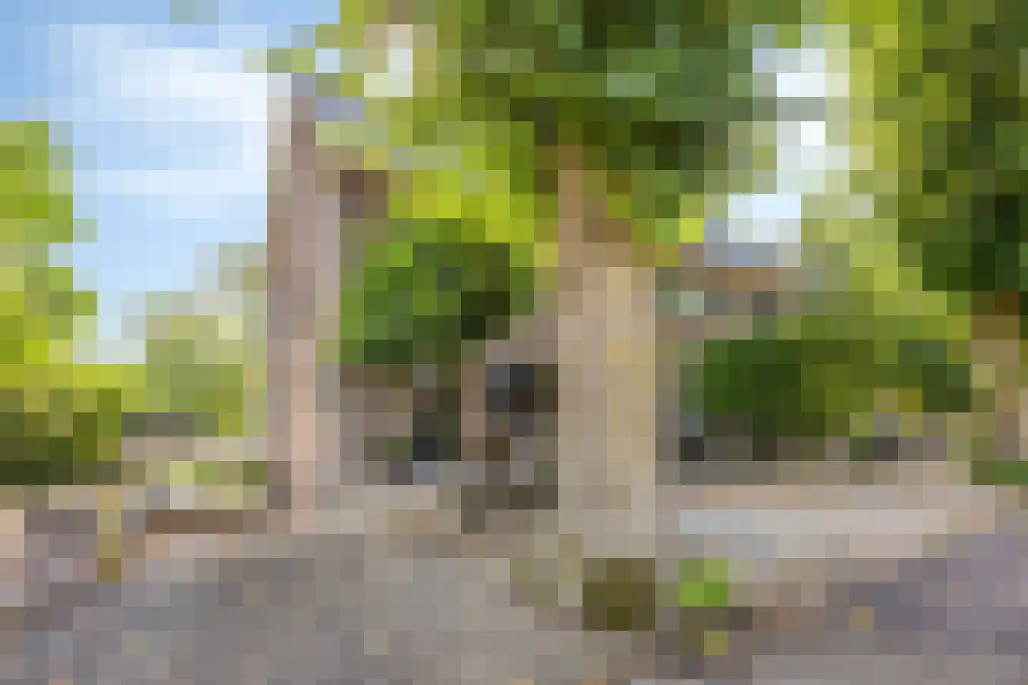 G.W. Lovendaalsingel 24 Grave thumbnail 7