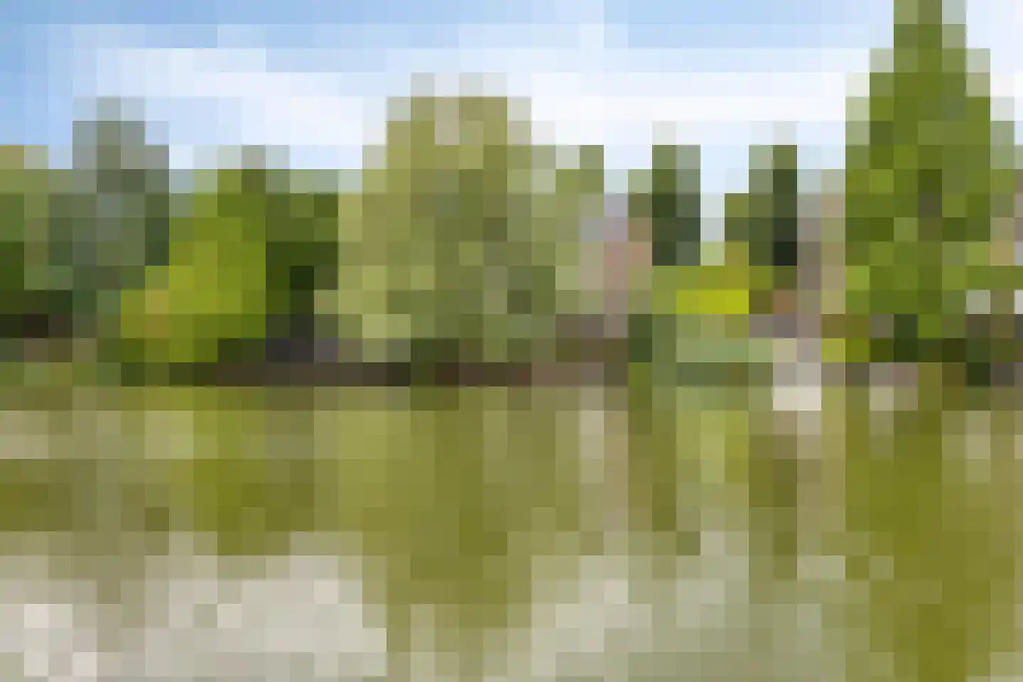G.W. Lovendaalsingel 24 Grave thumbnail 71