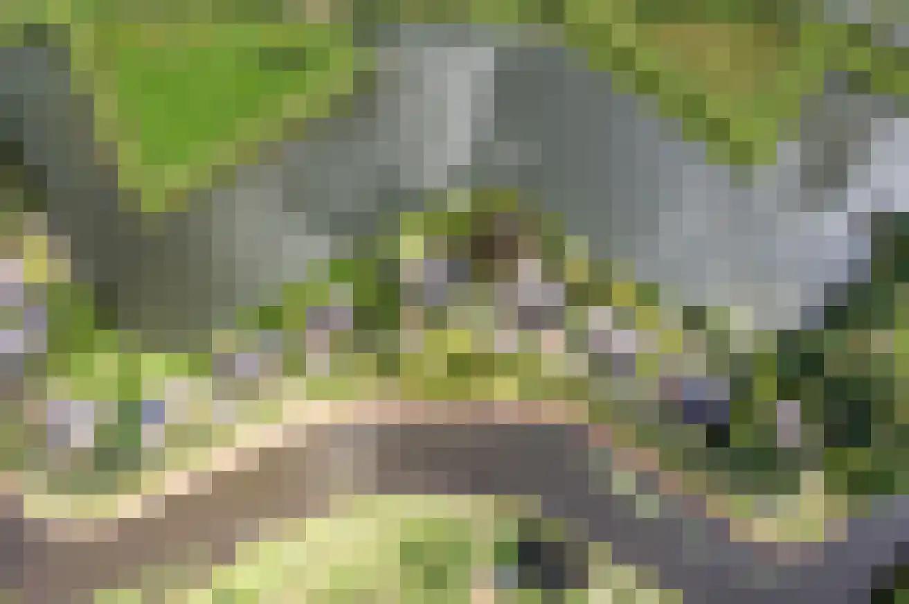 G.W. Lovendaalsingel 24 Grave thumbnail 72