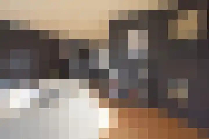 G.W. Navislaan 11 Burgum thumbnail 17