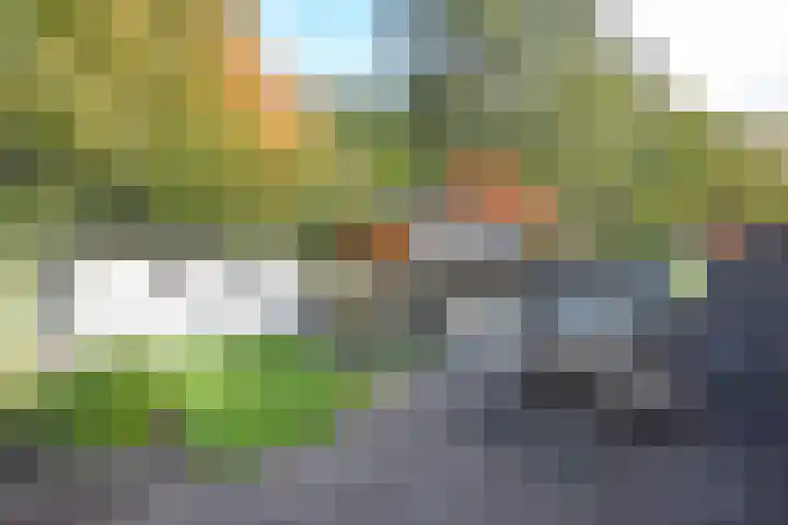 G.W. Navislaan 11 Burgum thumbnail 8