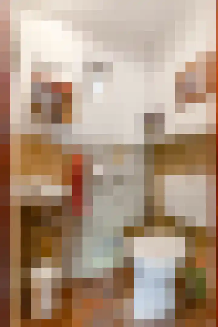 G.W. Navislaan 4 Burgum thumbnail 15