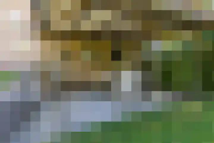 G.W. Navislaan 4 Burgum thumbnail 52