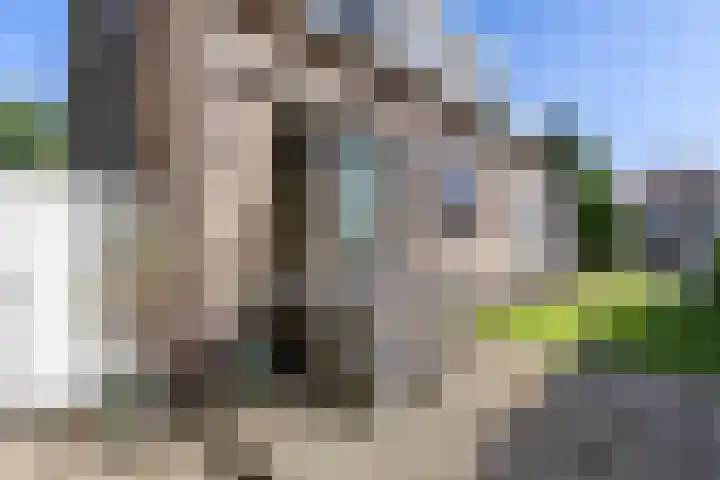 G.W. Navislaan 4 Burgum thumbnail 53