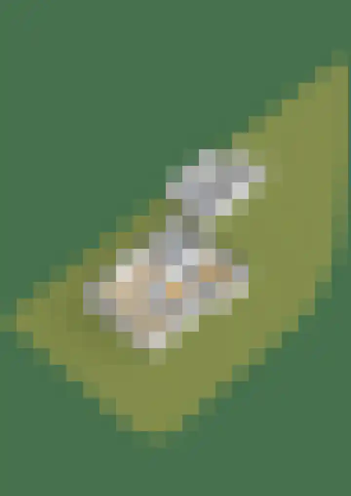 G.W. Navislaan 4 Burgum thumbnail 72