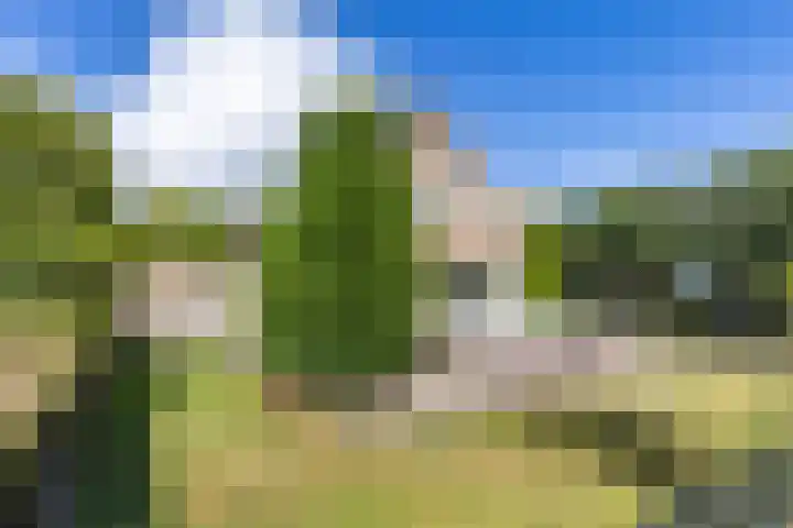 G.W. Navislaan 4 Burgum thumbnail 8