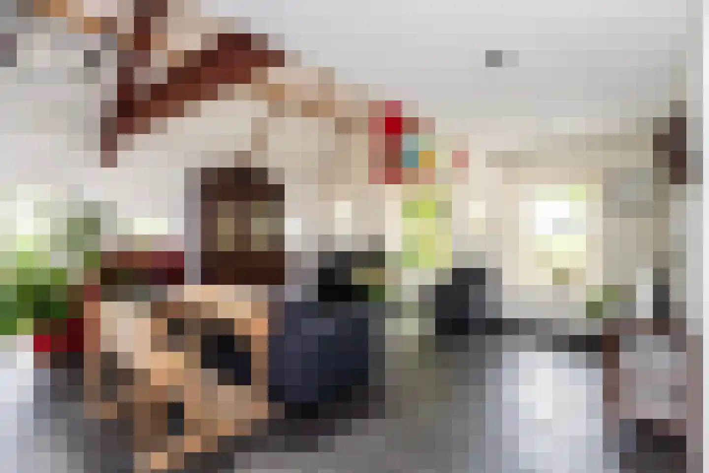 G.W.van Marleweg 4 Nieuwleusen thumbnail 10