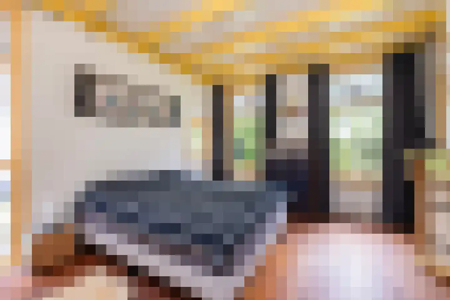 G.W.van Marleweg 4 Nieuwleusen thumbnail 22