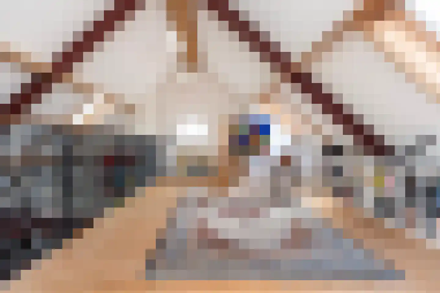 G.W.van Marleweg 4 Nieuwleusen thumbnail 32