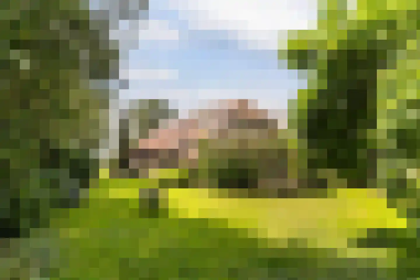 G.W.van Marleweg 4 Nieuwleusen thumbnail 4