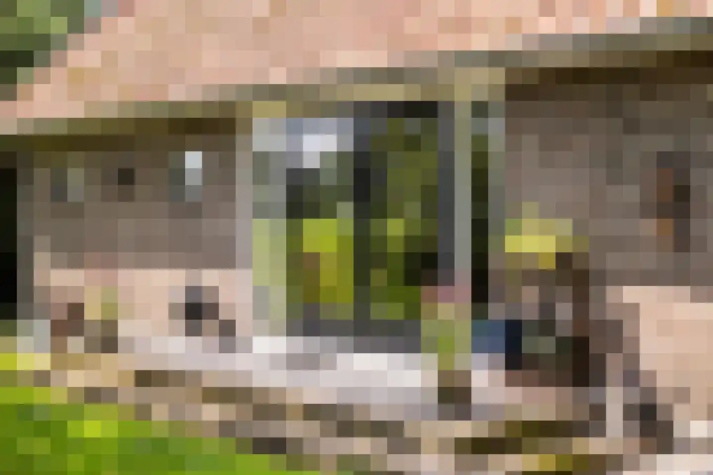 G.W.van Marleweg 4 Nieuwleusen thumbnail 42