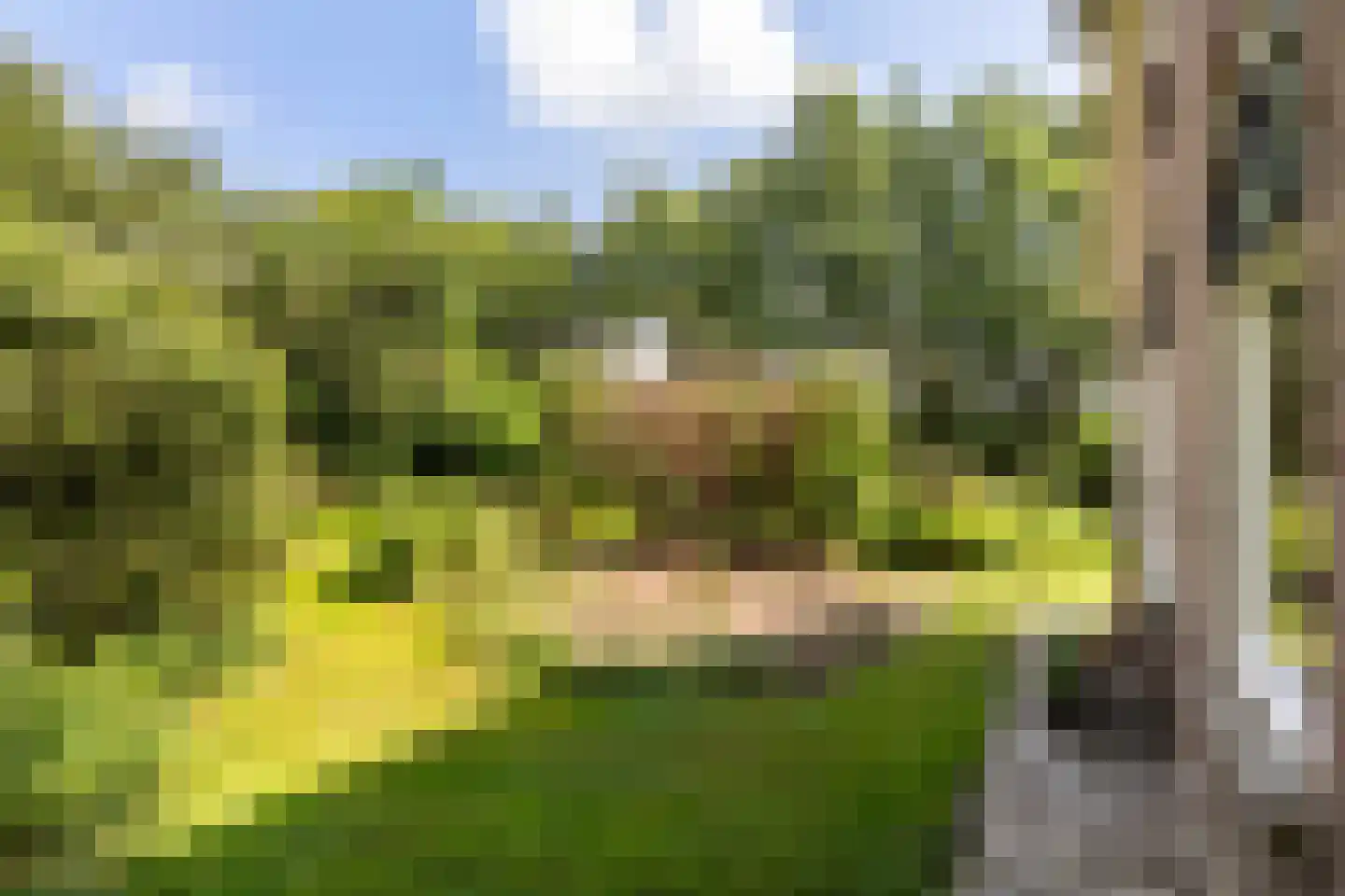 G.W.van Marleweg 4 Nieuwleusen thumbnail 43
