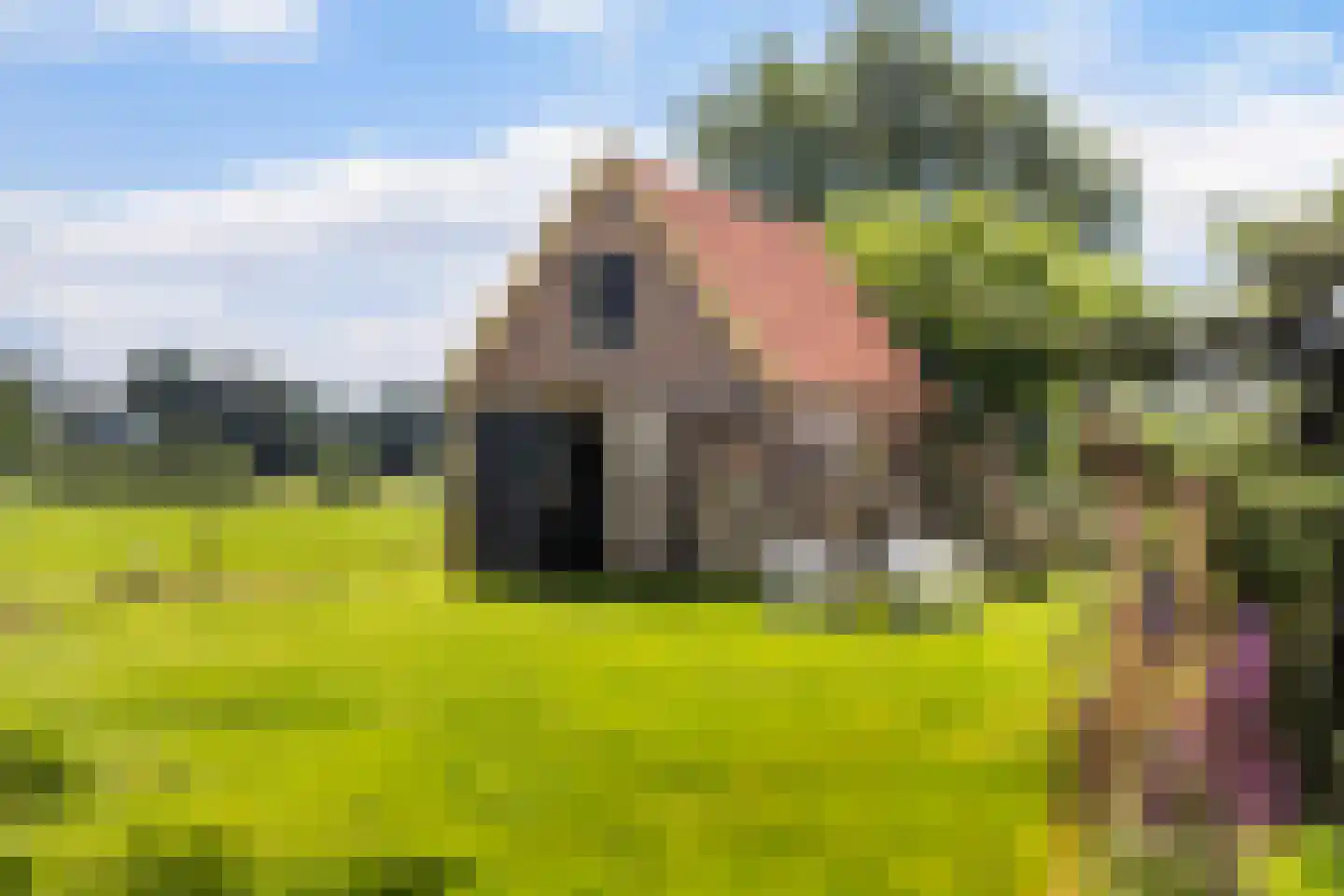 G.W.van Marleweg 4 Nieuwleusen thumbnail 44