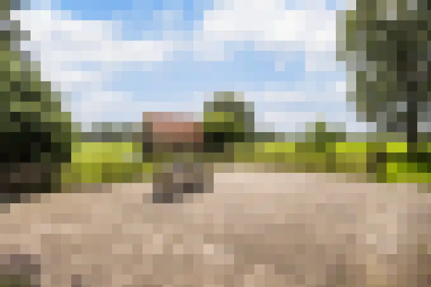 G.W.van Marleweg 4 Nieuwleusen thumbnail 45