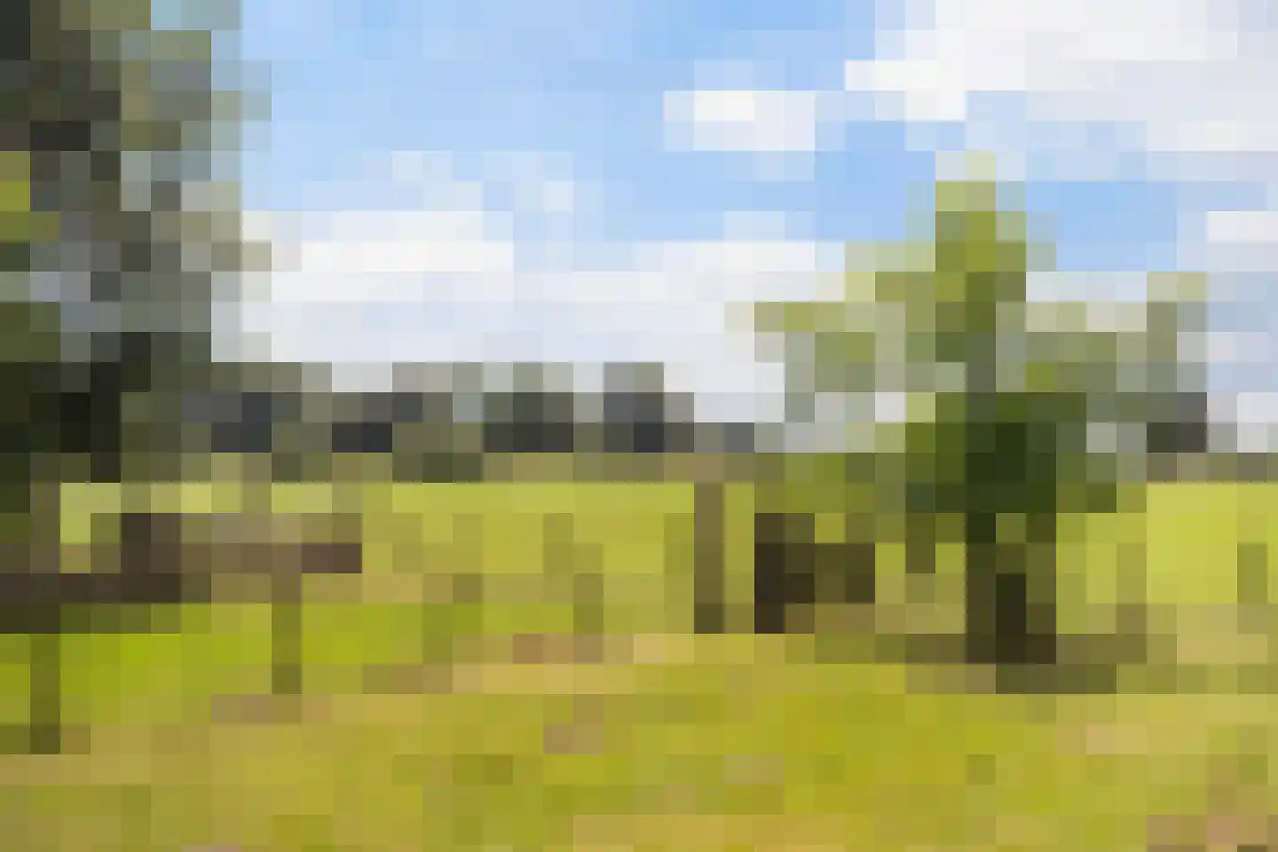 G.W.van Marleweg 4 Nieuwleusen thumbnail 46