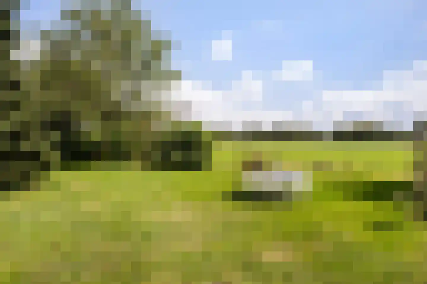 G.W.van Marleweg 4 Nieuwleusen thumbnail 47