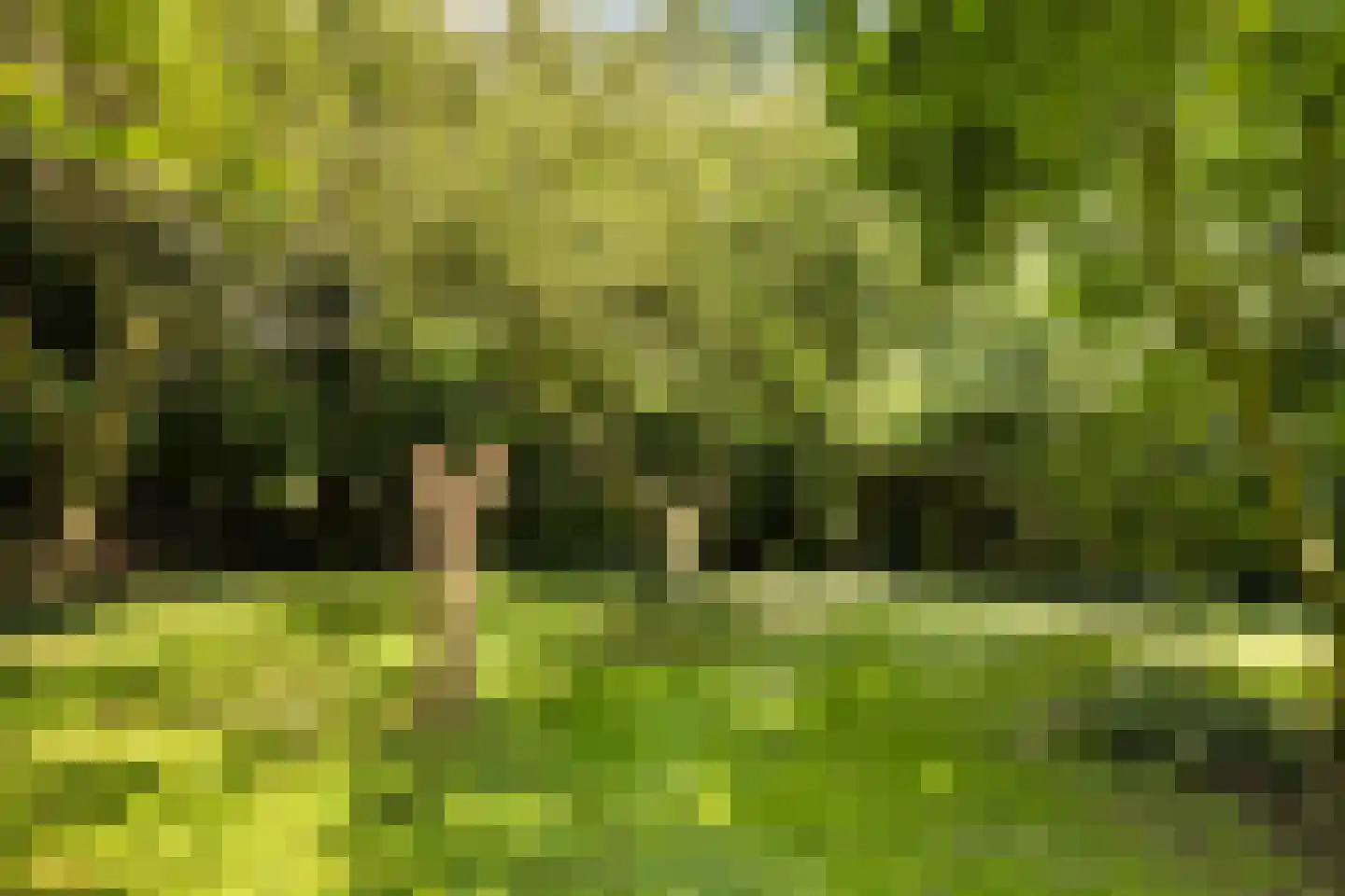 G.W.van Marleweg 4 Nieuwleusen thumbnail 50