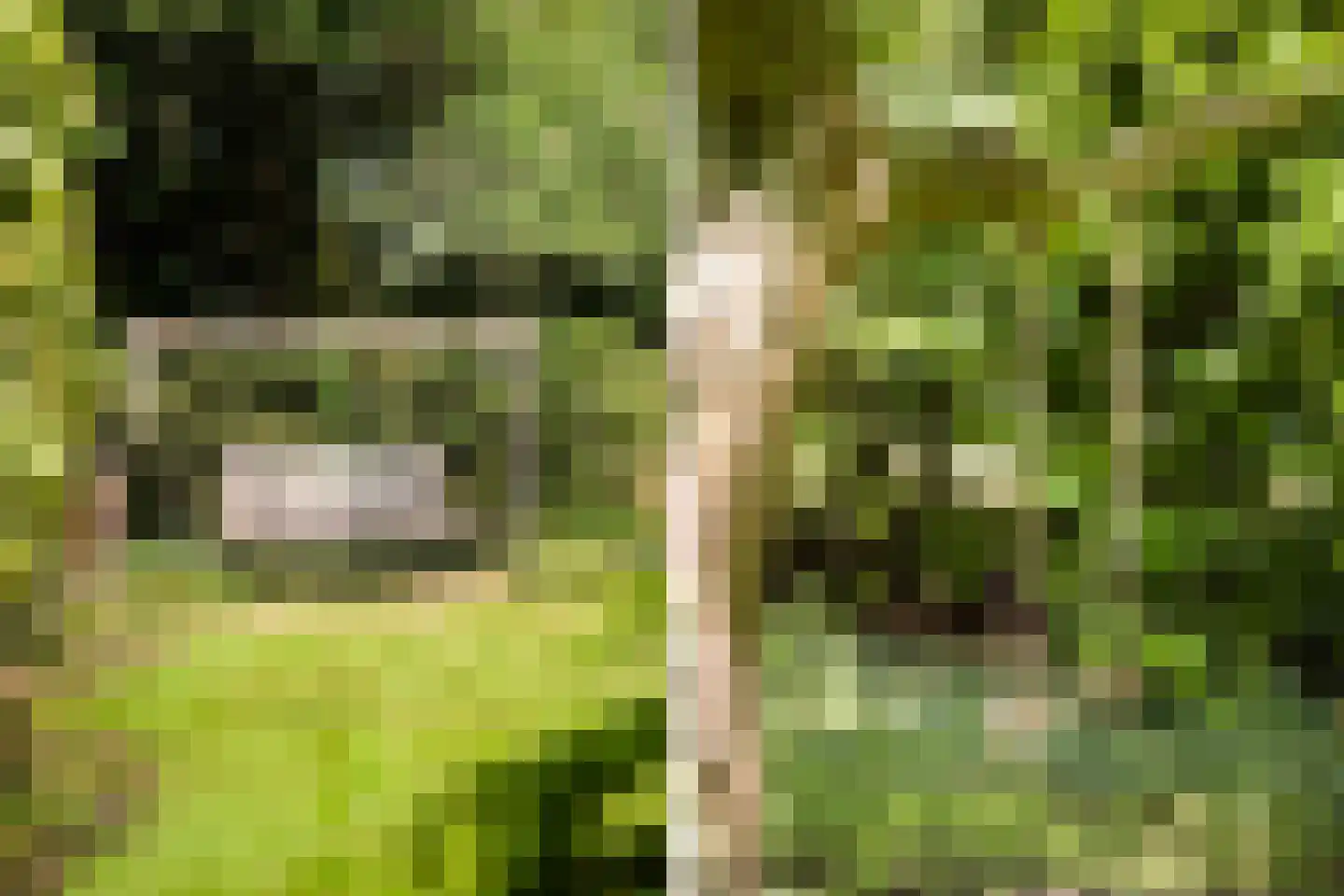 G.W.van Marleweg 4 Nieuwleusen thumbnail 51