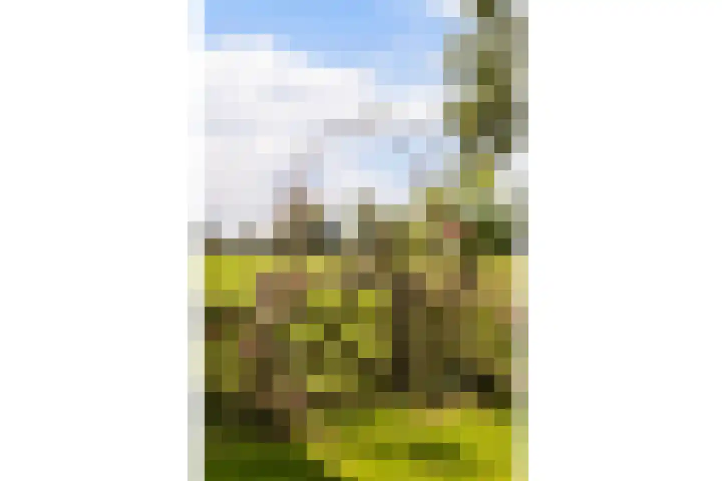 G.W.van Marleweg 4 Nieuwleusen thumbnail 52