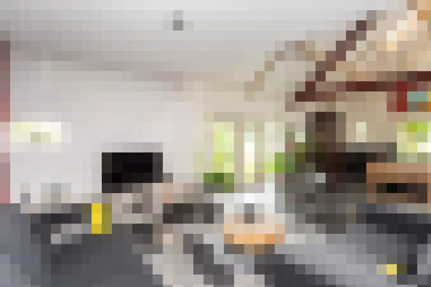 G.W.van Marleweg 4 Nieuwleusen thumbnail 9