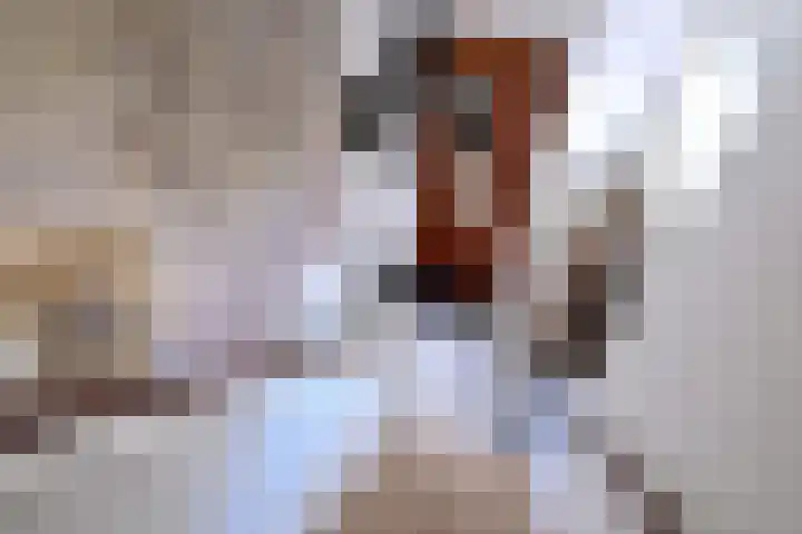 G. Westenbergstraat 16 Deventer thumbnail 17