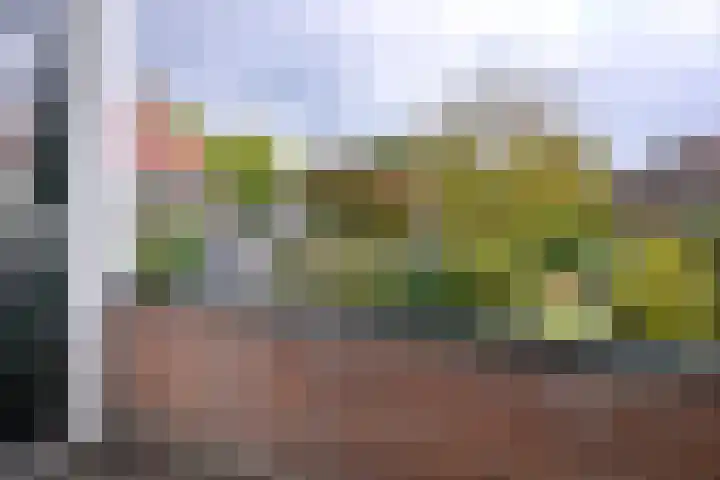 G. Westenbergstraat 16 Deventer thumbnail 26