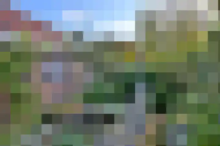 G. Westenbergstraat 16 Deventer foto 3