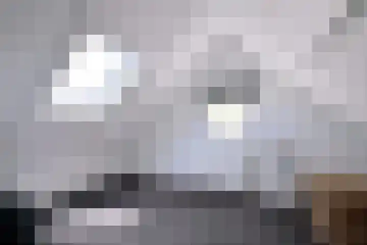 G. Westenbergstraat 16 Deventer thumbnail 30