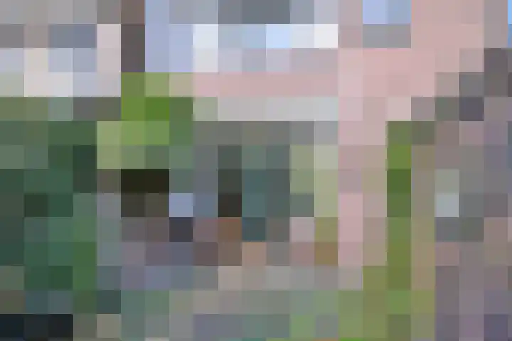 G. Westenbergstraat 16 Deventer thumbnail 33