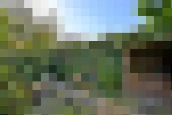 G. Westenbergstraat 16 Deventer thumbnail 34