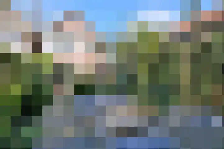 G. Westenbergstraat 16 Deventer thumbnail 37