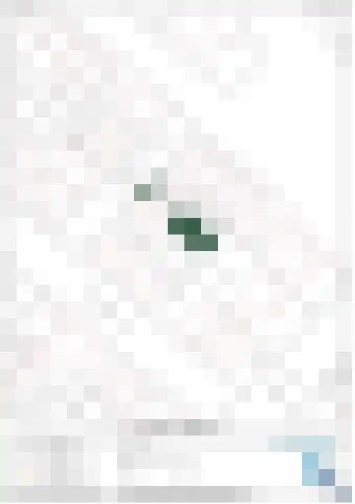 G. Westenbergstraat 16 Deventer thumbnail 40