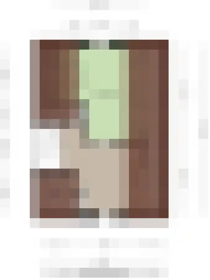 G. Westenbergstraat 16 Deventer thumbnail 43