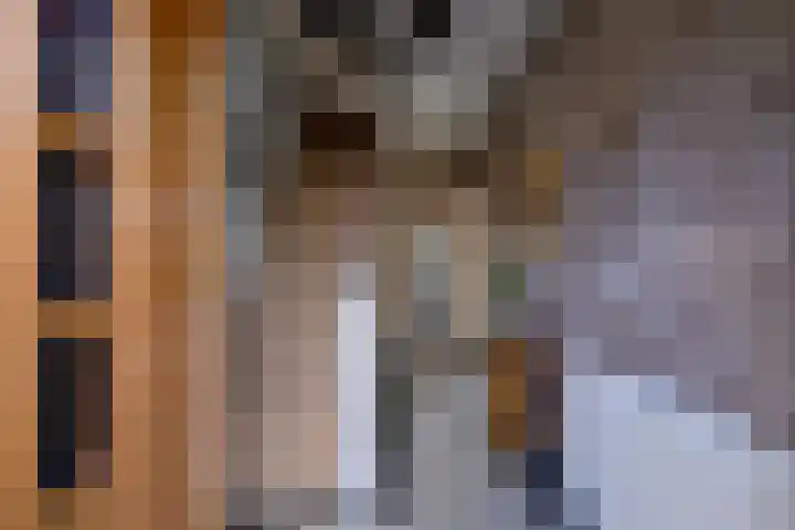 G. Westenbergstraat 16 Deventer thumbnail 5