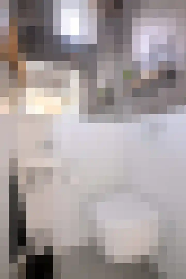 G. Westenbergstraat 16 Deventer thumbnail 7