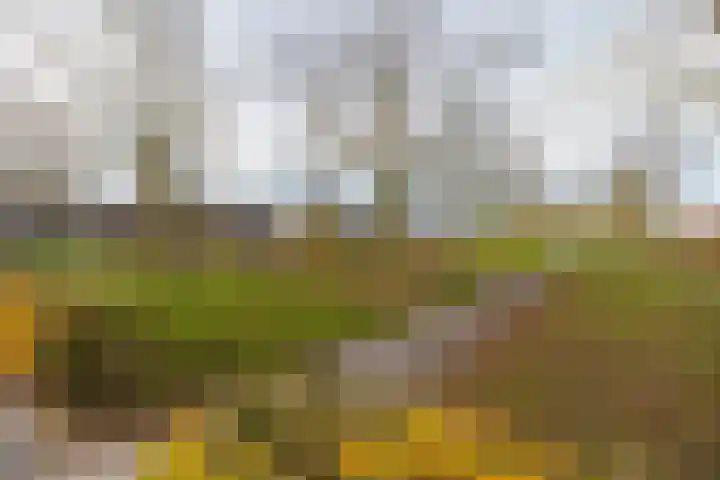 Gaag 34 De Meern thumbnail 38