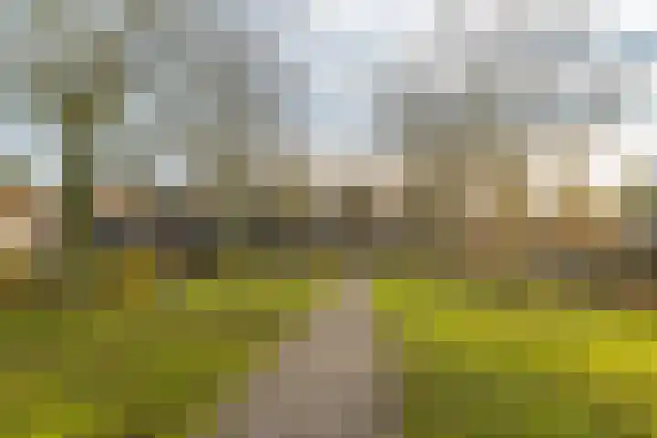Gaag 34 De Meern thumbnail 40