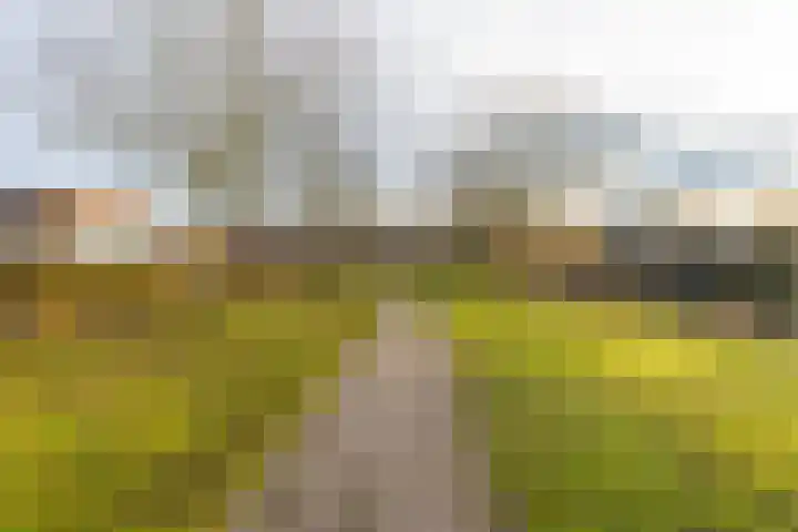 Gaag 34 De Meern thumbnail 41