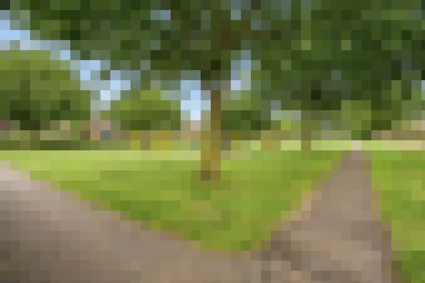 Gaag 49 De Meern thumbnail 40
